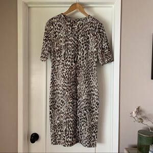Animal print sheath dress 🐆